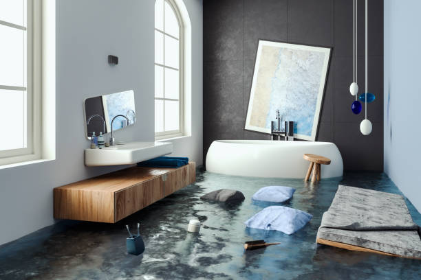 Best Water damage restoration process  in Timnath, CO