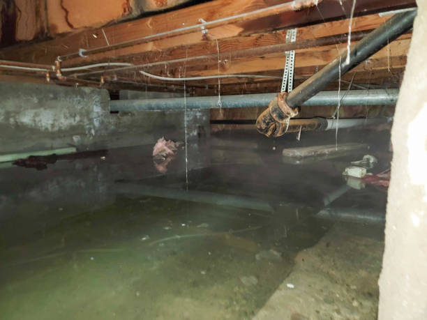 Best Residential water damage restoration  in Timnath, CO