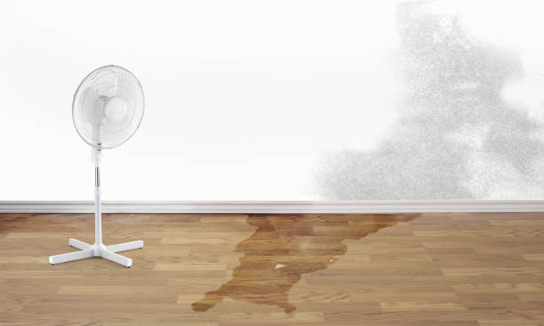 Best Fire Damage Restoration  in Timnath, CO