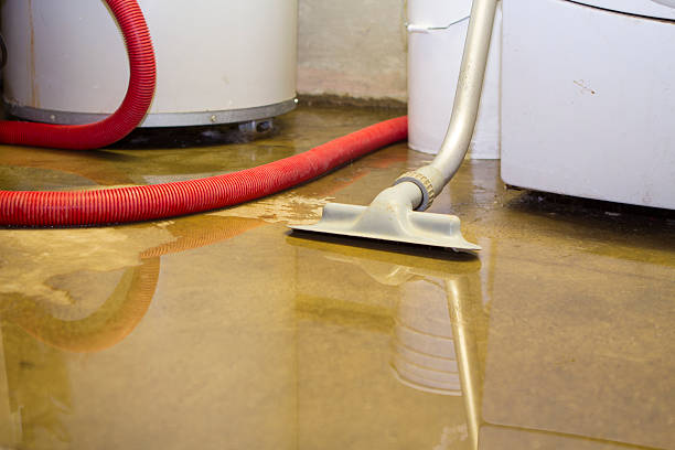 Best Water damage restoration insurance claims  in Timnath, CO