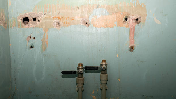 Best 24-hour water damage restoration  in Timnath, CO