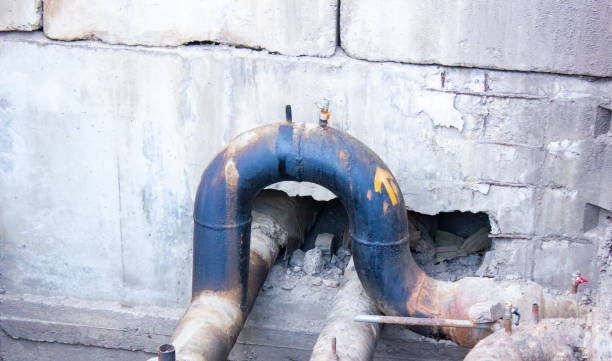 Best Mold removal after water damage  in Timnath, CO